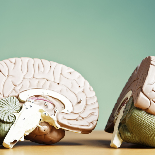 Ananalisis transaccional en psicologia